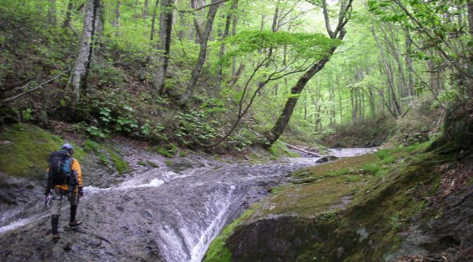 名取川大行沢