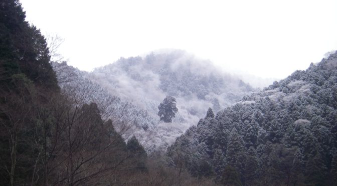 堂平～円山木の頭～弁天尾根