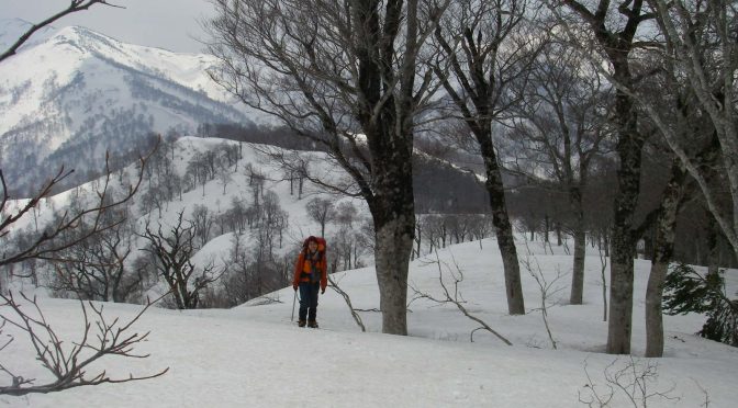 小沢山～稲子山～坪入山～窓明山
