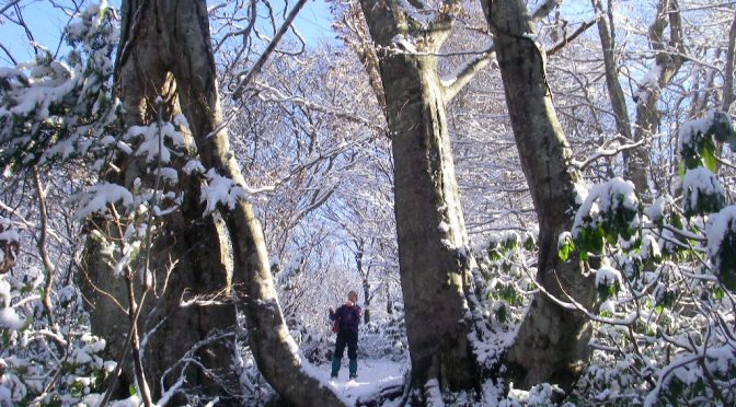 大蔵山～菅名岳