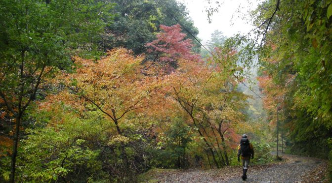 小櫃川折木沢～四郎治
