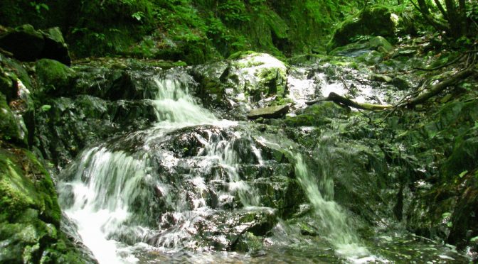 南秋川小坂志川本流