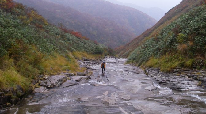 登川米子沢