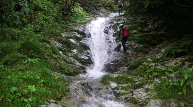 金城山皆沢川