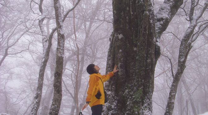 鍋割山稜