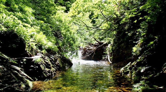 大倉川戸立沢右俣～奧戸立山～寒風山～関山峠