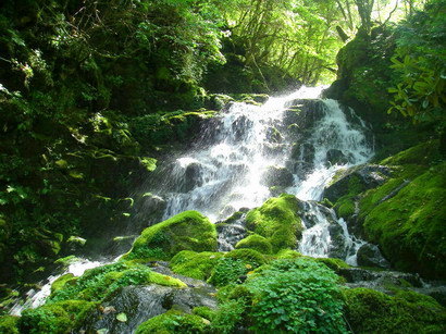 美ヶ原　焼山沢