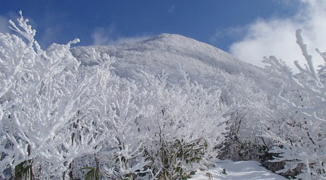 北面白山～権現様峠～南面白山