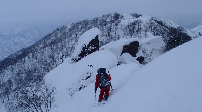 長崎尾根〜金城山〜雲洞コース