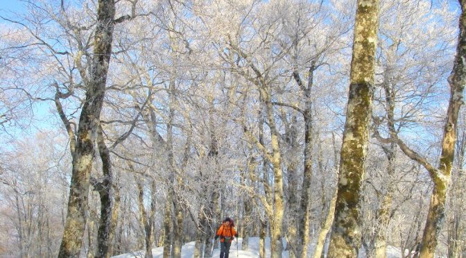舟鼻峠〜三引山〜大滝山〜横山〜神籠ヶ岳