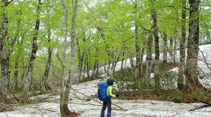 旗坂キャンプ場〜氾濫原〜大倉山〜三峰山〜船形山〜升沢〜旗坂キャンプ場