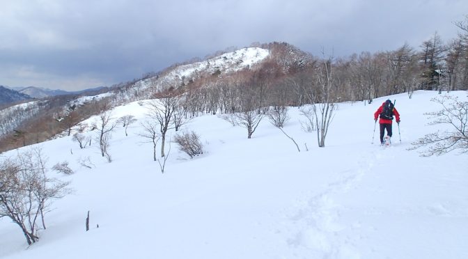 タル沢尾根～将門馬場～鷹ノ巣山