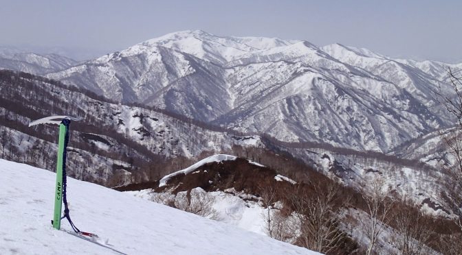 山毛欅沢山〜城郭朝日山