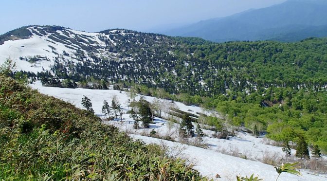 森吉山〜ヒバクラ岳〜割沢森〜高場森〜中ノ又沢源頭部周回〜黒石川林道