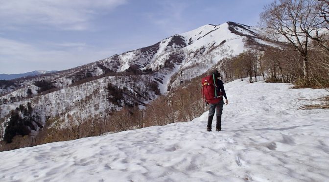 三本山毛欅峠〜小沢山〜稲子山〜坪入山〜窓明山〜家向山〜巽沢山