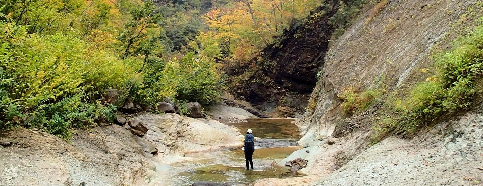 ブナの沢旅