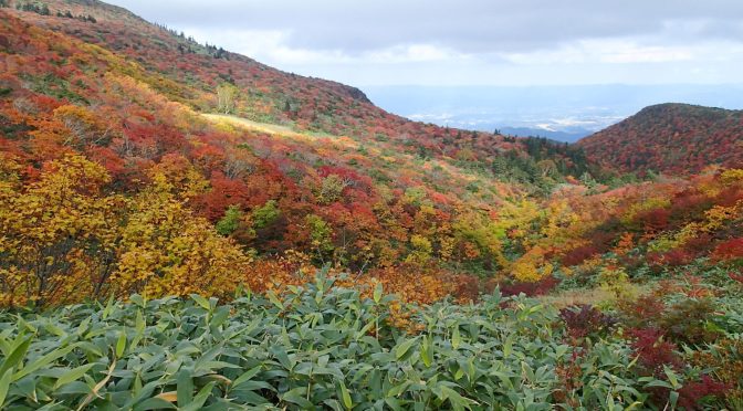 塩沢登山口〜くろがね小屋〜鉄山〜僧悟台〜塩沢登山口