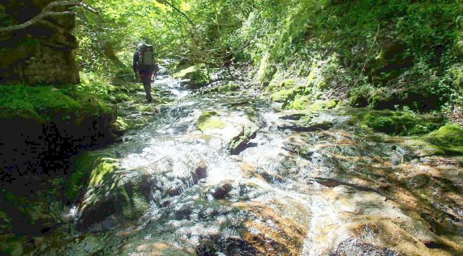 舟岐川火打石沢〜引馬峠〜深沢下降