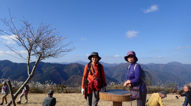 大野山
