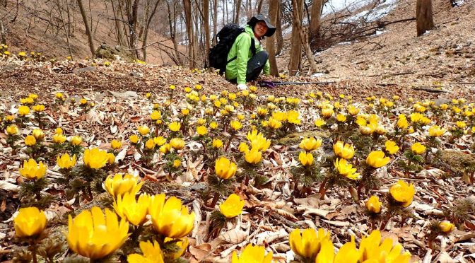 カラ沢〜花新田〜大ドッケ