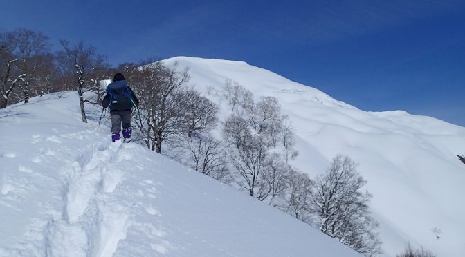 稲子山〜山毛欅沢山