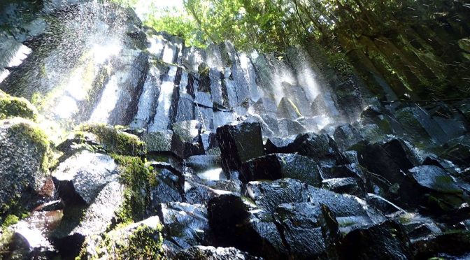 新崎川中尾沢〜左俣