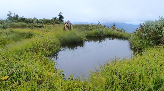 白戸川メルガ股沢〜丸山岳