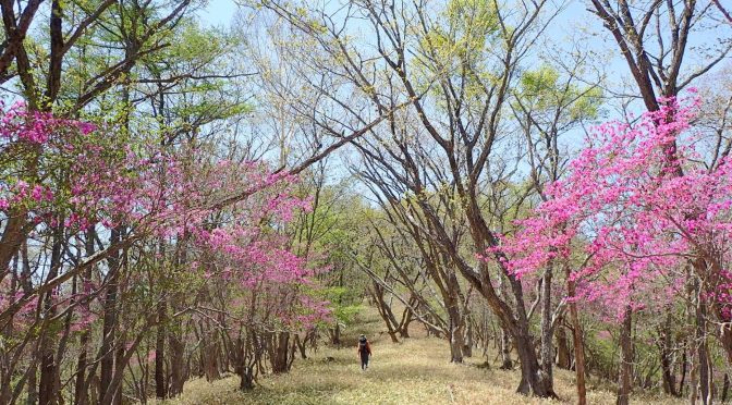 巣神山〜小法師岳