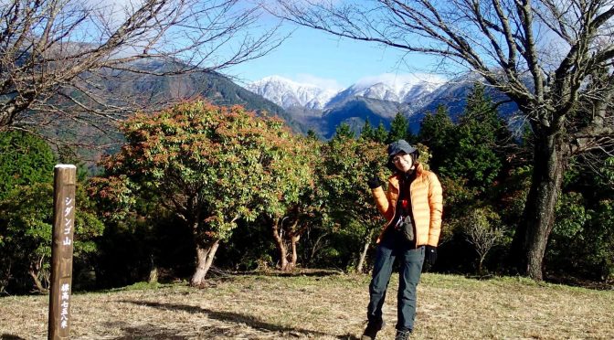 シダンゴ山〜ダルマ沢の頭〜高松山