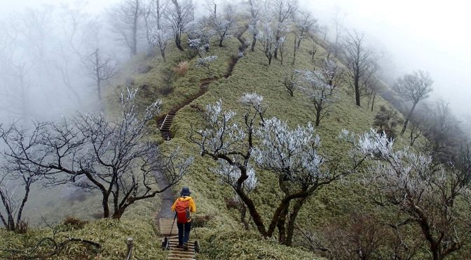 丹沢山