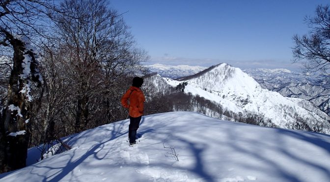 山毛欅沢山〜城郭朝日山（中退）