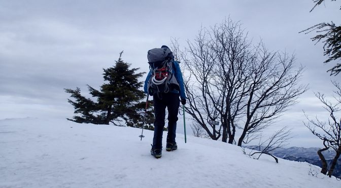 枯木山
