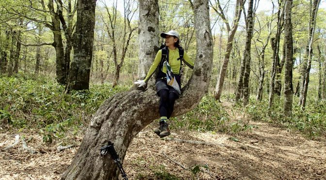 尼ヶ禿山〜ブナ平〜鹿俣山