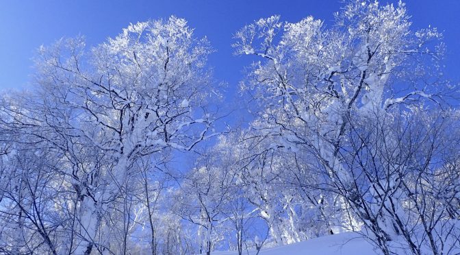 舟鼻山〜御前ヶ岳