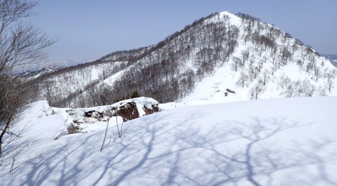 山毛欅沢山〜城郭朝日山