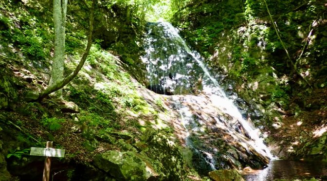 中津川鎌倉沢〜南天山