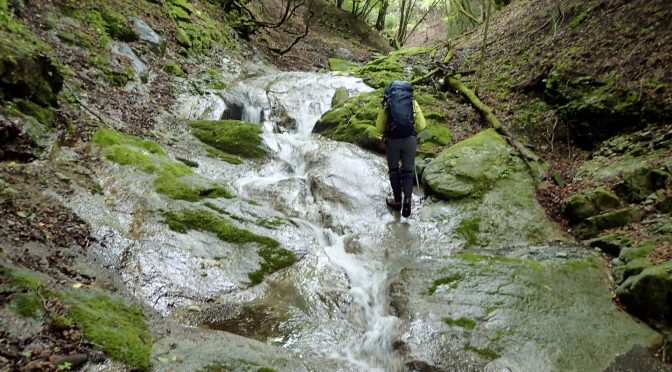 世附川土沢三ノ沢〜三国山〜籠坂峠