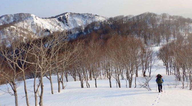 舟鼻峠〜三引山〜博士峠〜博士山
