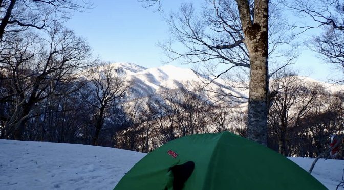 小沢山〜山毛欅沢山