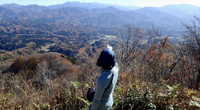 櫛形山。鳥坂山