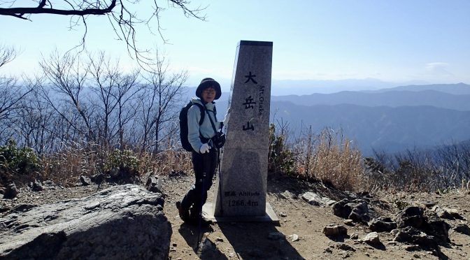 大岳山