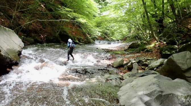 碓氷川本流