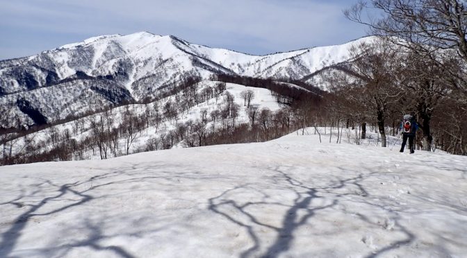 三本山毛欅峠〜稲子山〜坪入山