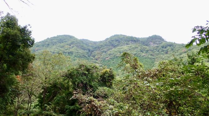 石和周辺（大蔵経寺山、兜山）