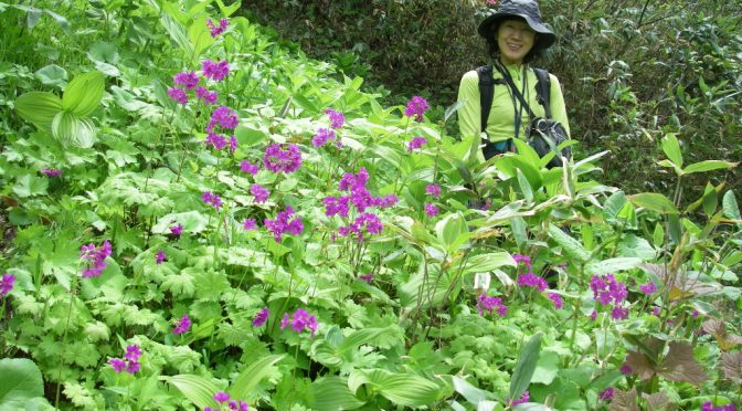笠科川スリバナ沢～笠ケ岳～笠科川本流下降