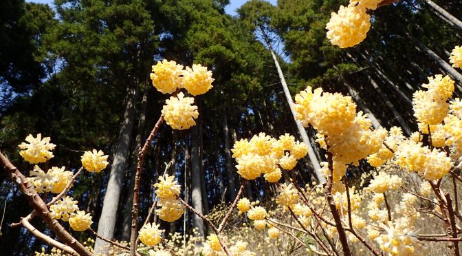 屏風岩〜大滝峠