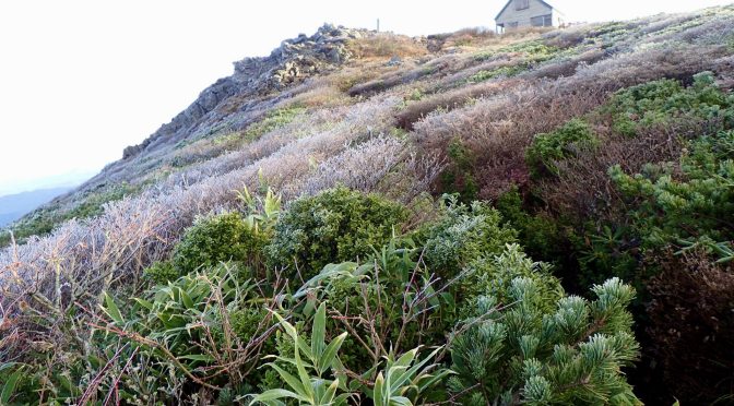 升沢〜船形山〜長倉尾根〜旗坂キャンプ場