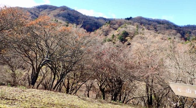 広沢寺〜唐沢峠〜日向薬師
