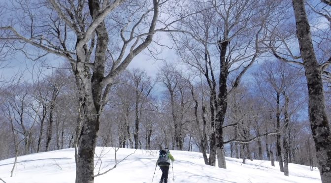 山毛欅沢山〜小手沢山〜恵羅窪山