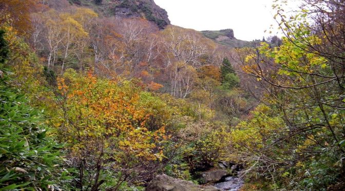 発知川鹿俣沢